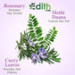 Edith Naturals Rosemary Hair Oil for Hair Growth and Hair Fall Control, Hair Strengthening-200 ml