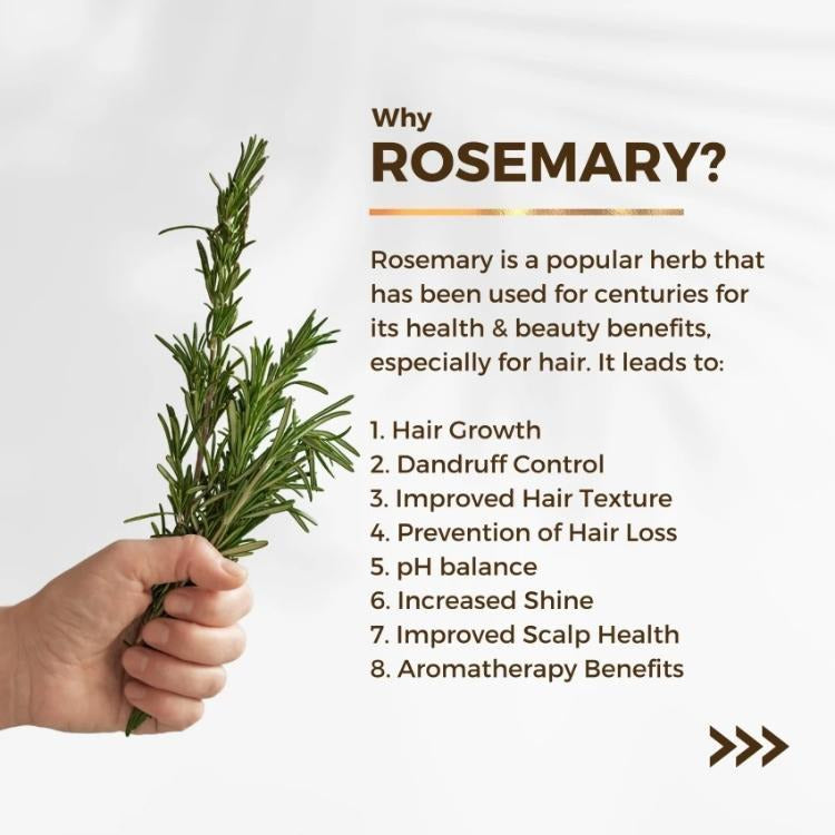 "Edith Naturals Rosemary Revival Spray | Hair Growth & Scalp Nourishment | Nature's Care in a Bottle"